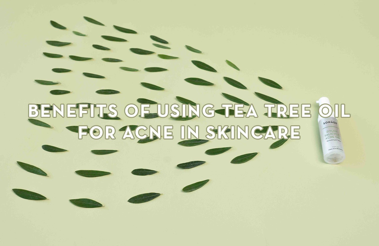 Tea Tree Oil Benefits