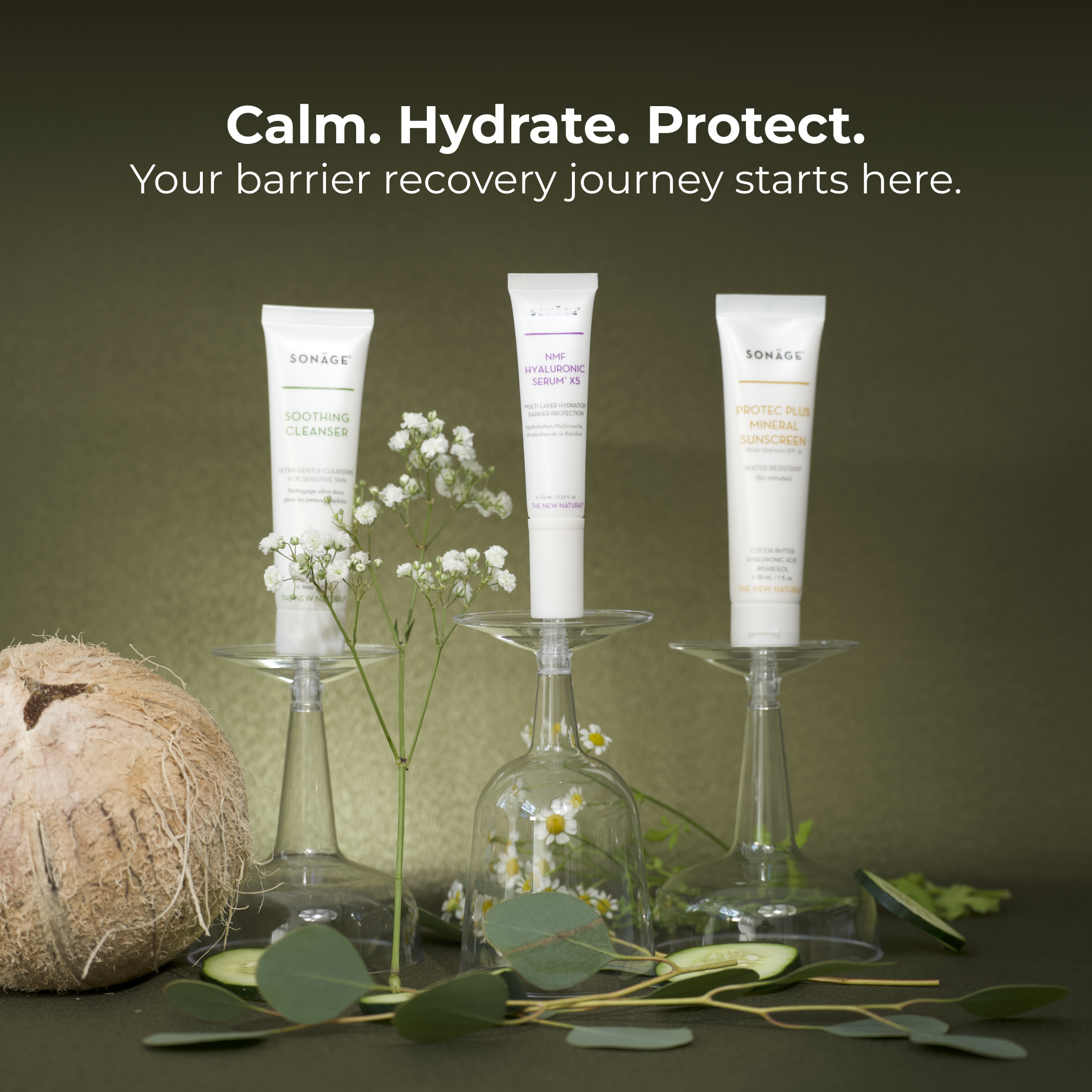 Three white bottle Sonage skincare products each sitting on top of of clear upside down cocktail glasses with a green background surrounded by eucalyptus leaves, chamomile flower, baby breath flower and a coconut