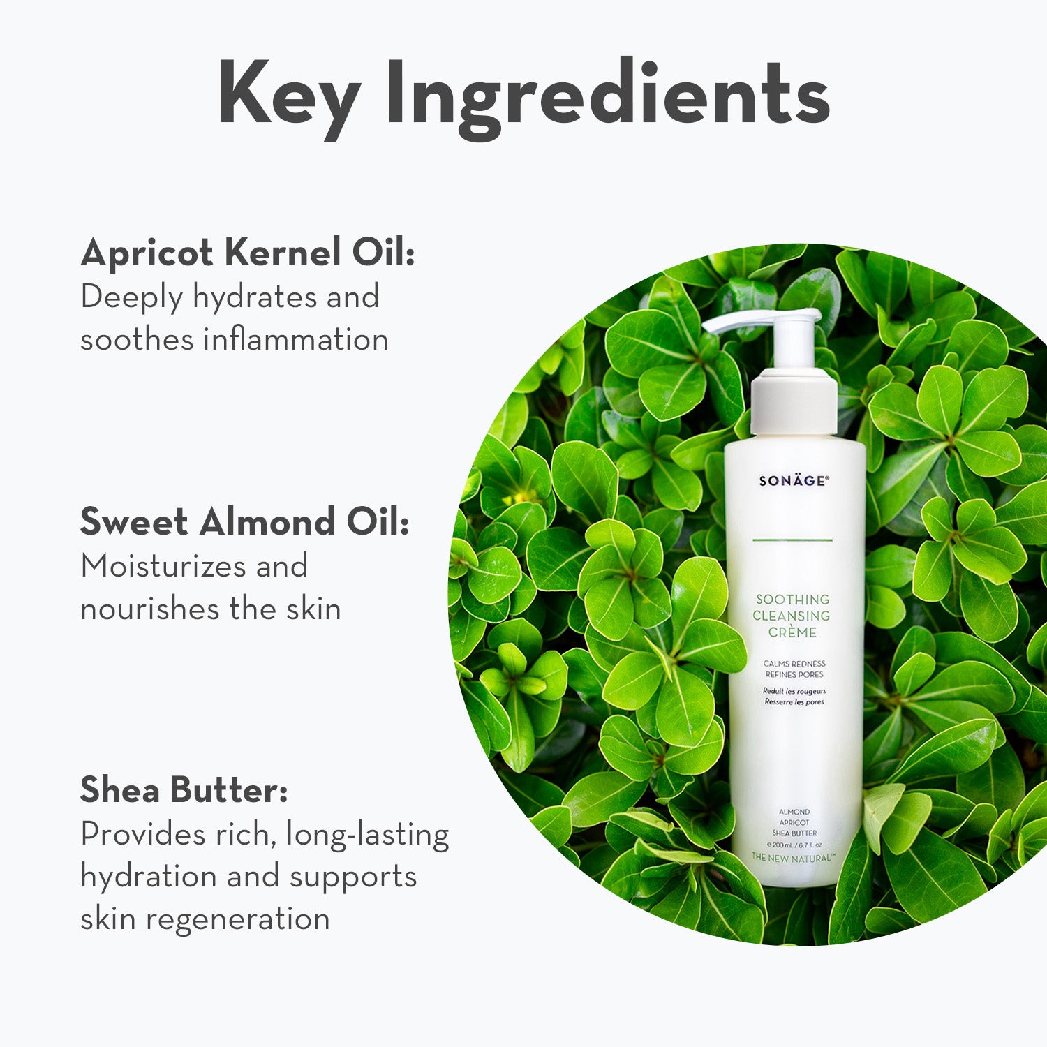 Soothing Cleansing Creme
