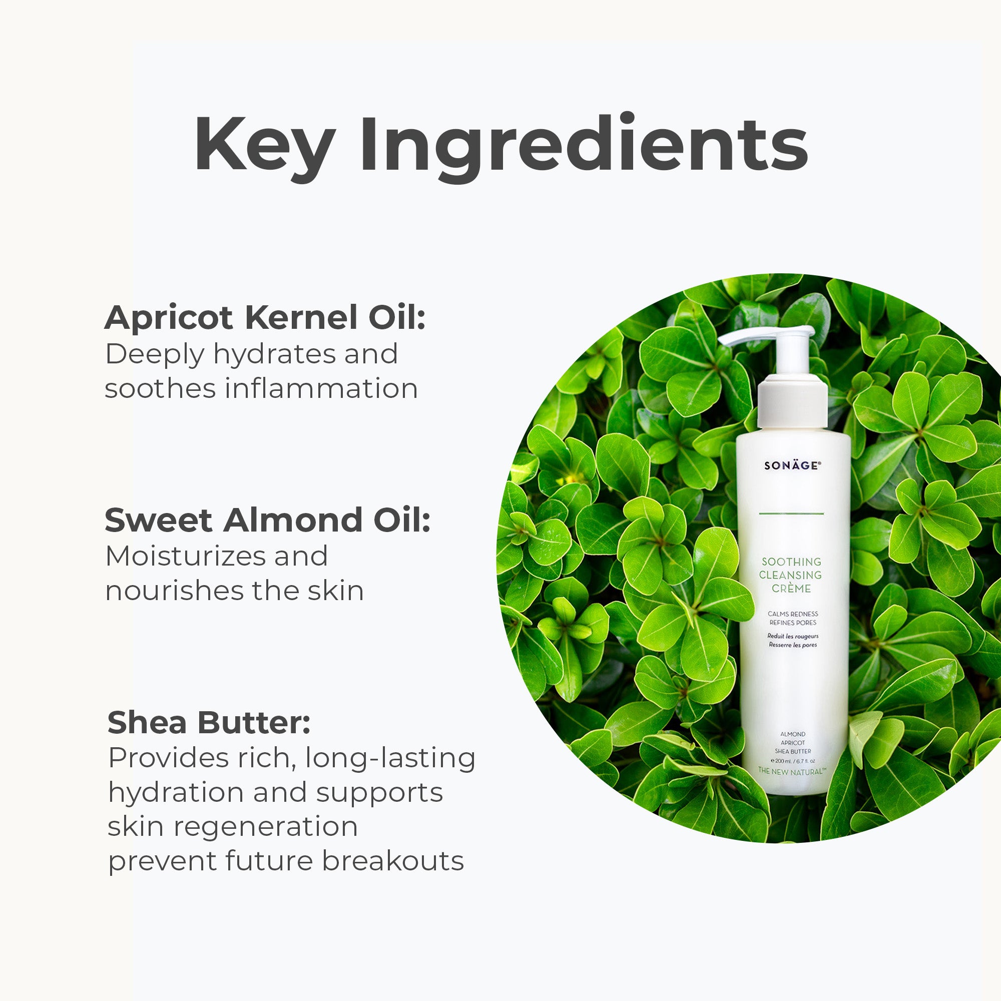 Deep Pore Facial Cleanser For Oily, Combination Skin