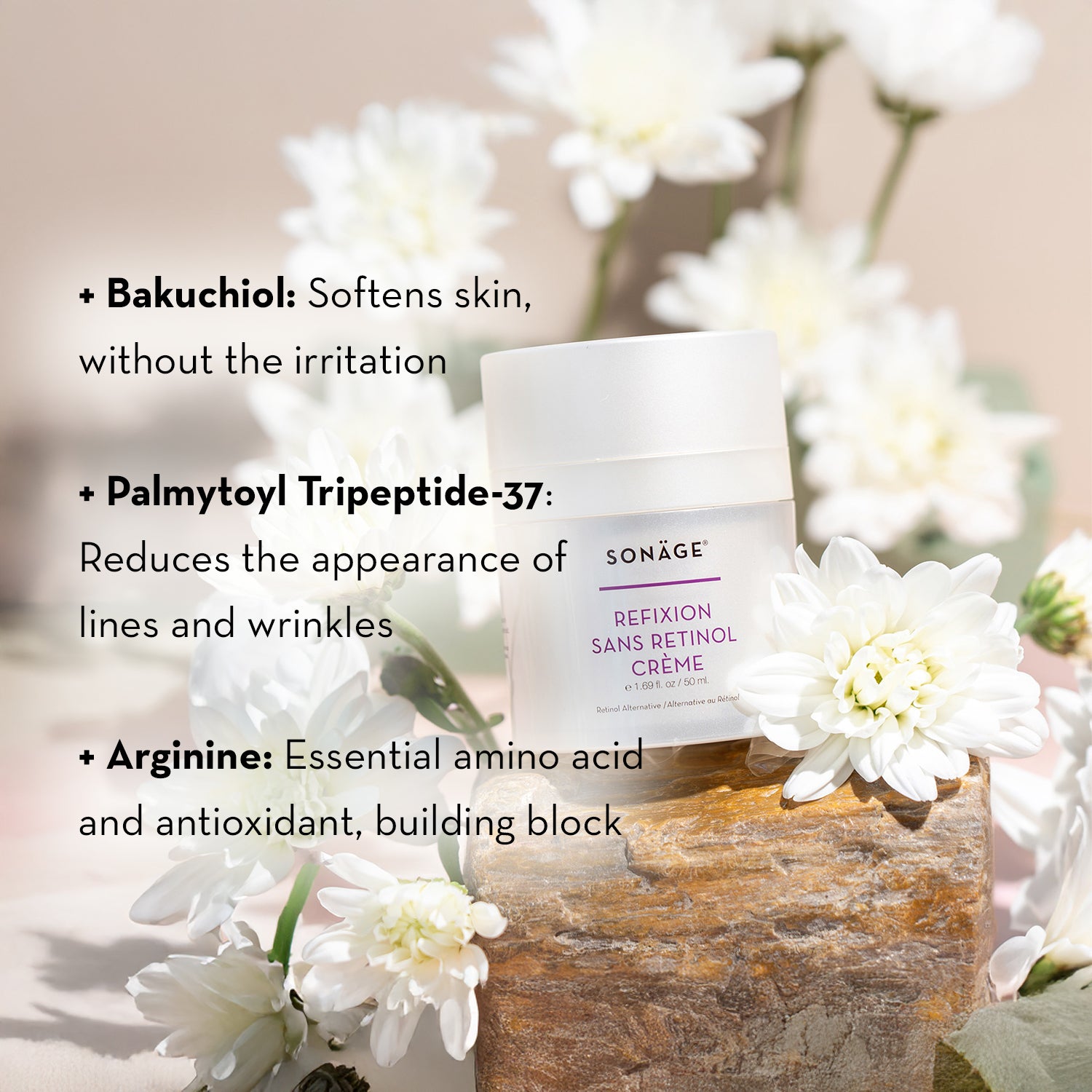 Refixion Sans Retinol Crème
