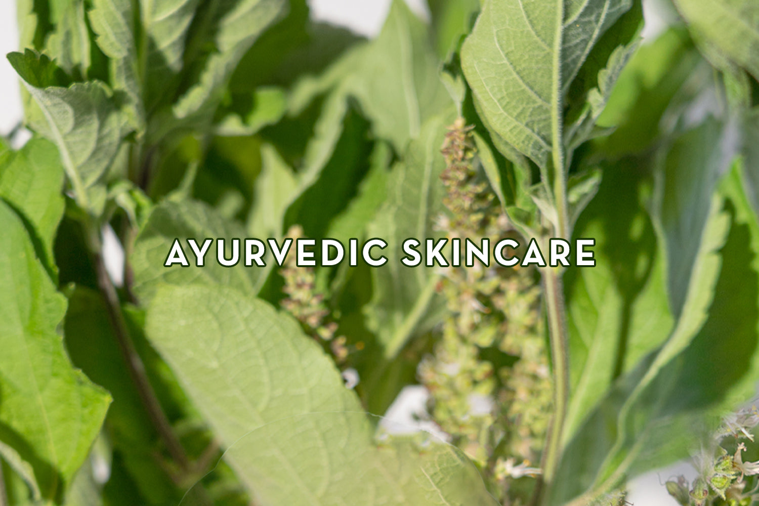 Unlock the Benefits of Ayurvedic Skincare