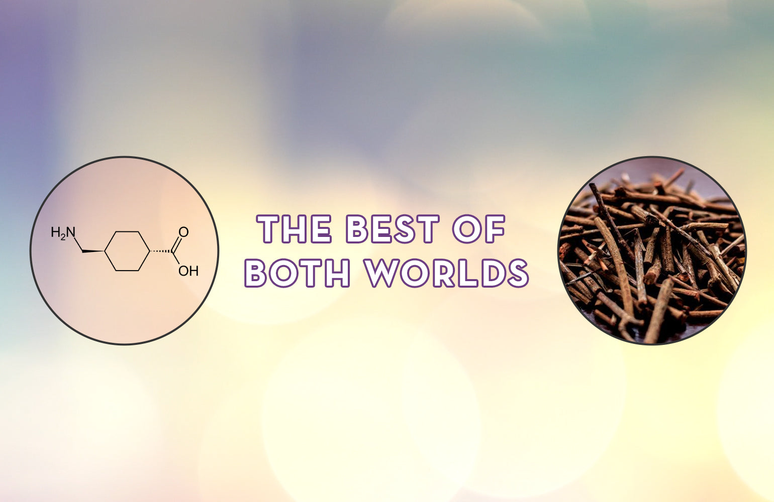 The Best of Both Worlds