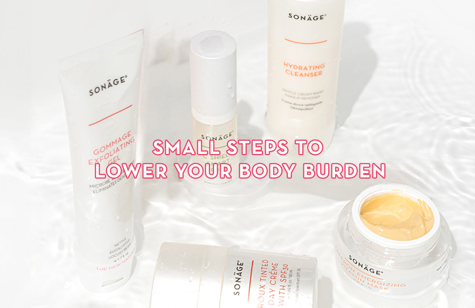 Small Steps To Lower Your Body Burden