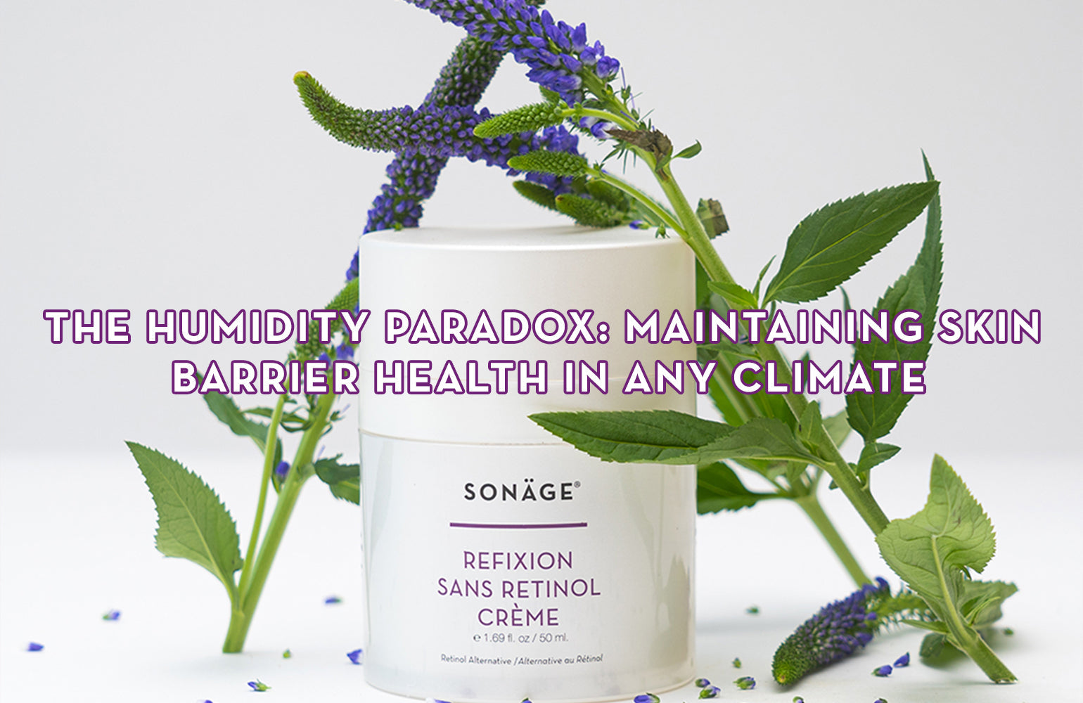 The Humidity Paradox: Secrets to Maintaining Skin Barrier Health in Any Climate