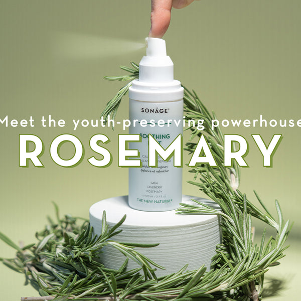 Growing & Using Rosemary in Skincare (and Food) - The Nova Studio