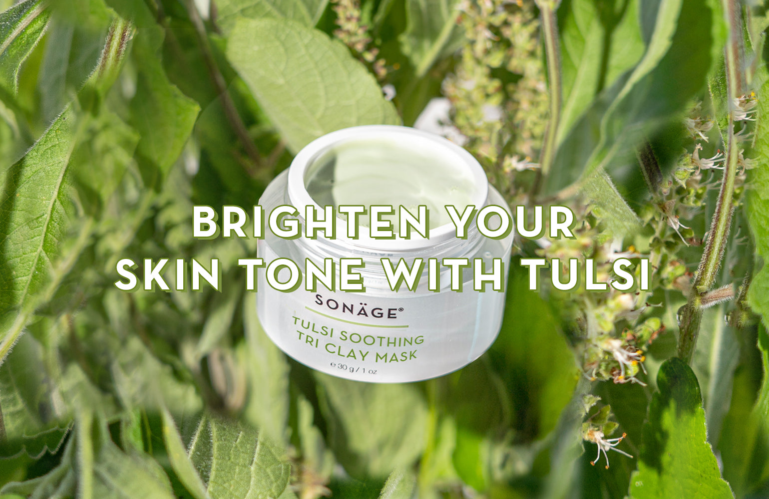 Brighten Your Skin Tone With Tulsi