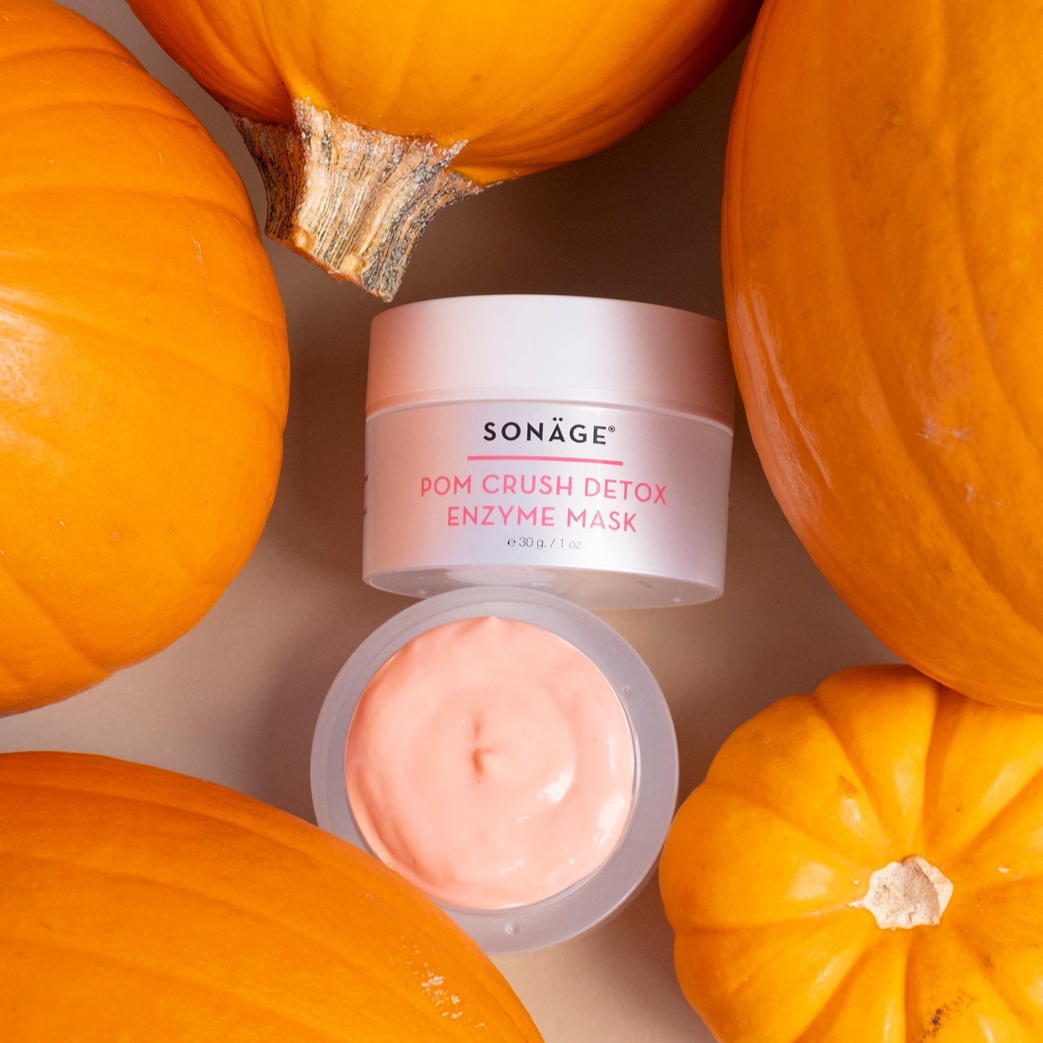 Pom Crush Surrounded Pumpkin